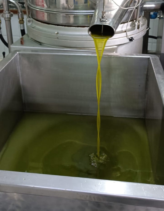 estrazione olio extra vergine di oliva