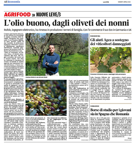 articolo La Città di Salerno Colli Borbonici® olio extra vergine di oliva