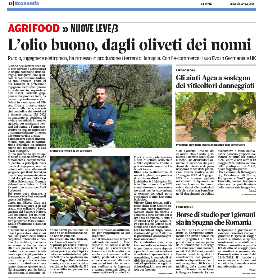 articolo La Città di Salerno Colli Borbonici® olio extra vergine di oliva