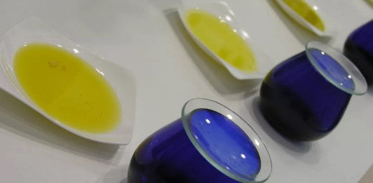 panel test olio evo 2025 Colli Borbonici®