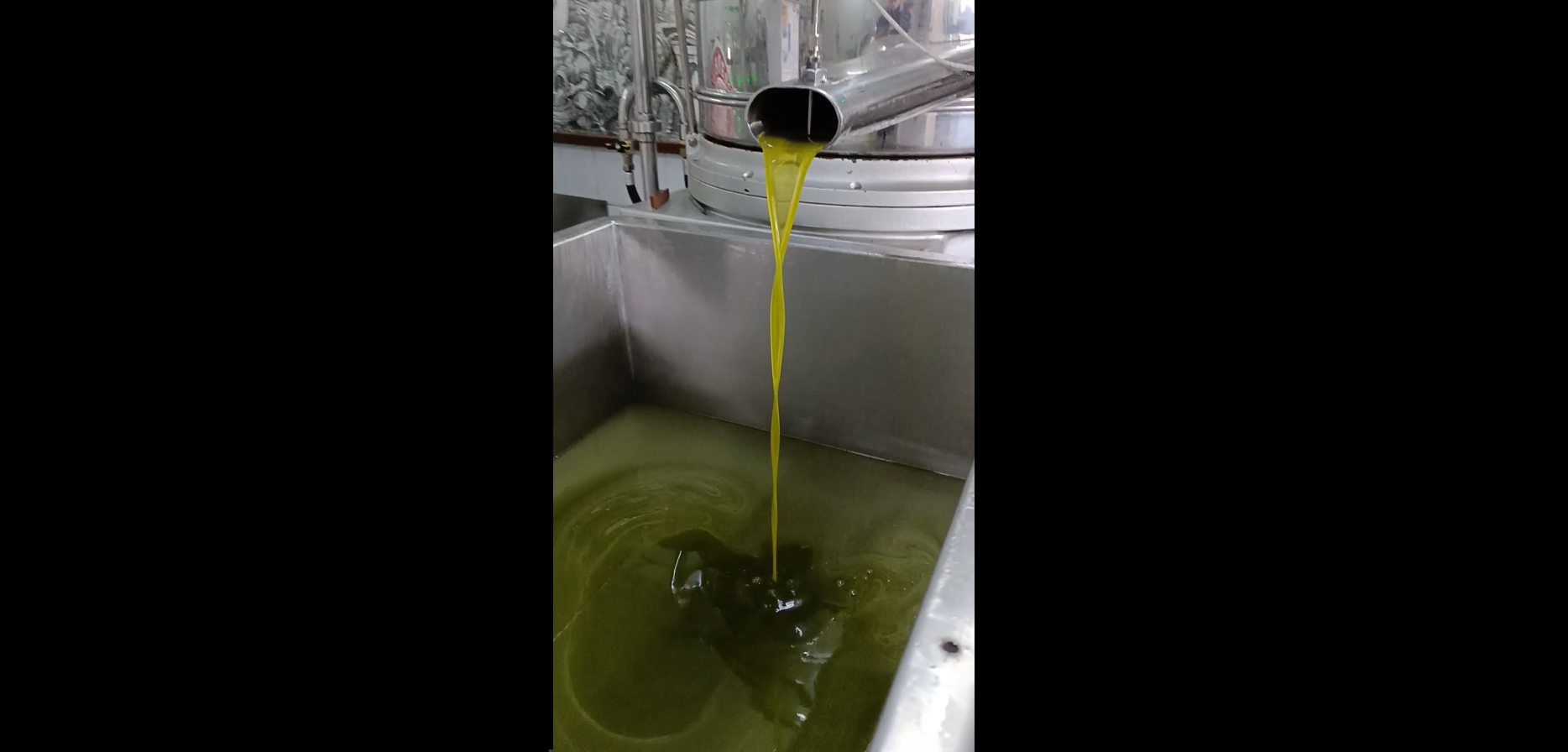 Carica il video: News ed approfondimenti dell&#39;olio extra vergine di oliva